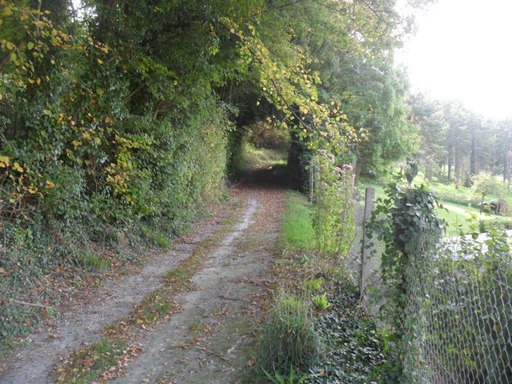 gite l oree de la foret Incheville Esterno foto